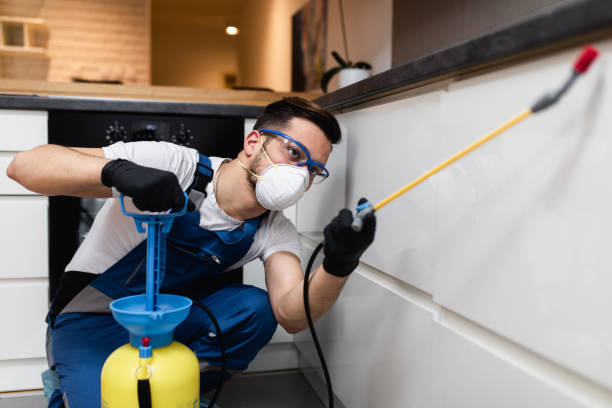 Best Pest Control Near Me  in Listoga, CA