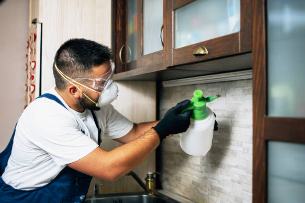 Best Commercial Pest Control Services  in Listoga, CA