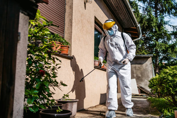 Best Pest Prevention Services  in Listoga, CA