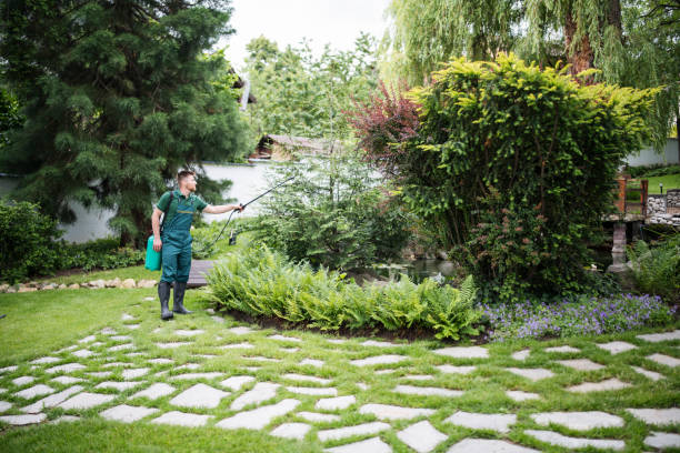 Reliable Calistoga, CA Pest Control Solutions