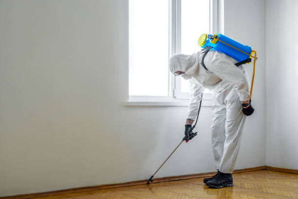 Best Pest Inspection Near Me  in Listoga, CA