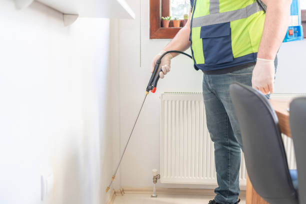 Best Affordable Pest Control Services  in Listoga, CA