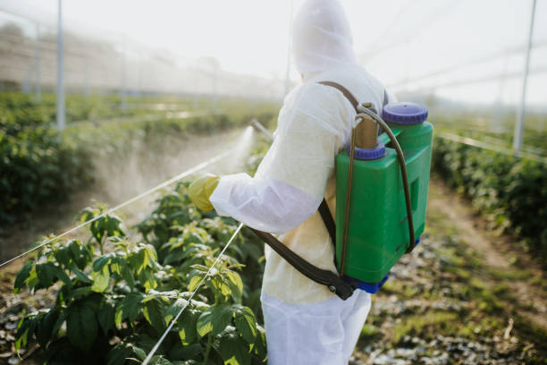 Pest Prevention Services in Calistoga, CA